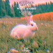 Скачать песню Jefferson Airplane - White Rabbit (Kerem Genc Rework)
