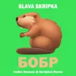 Скачать песню Slava Skripka - Бобр (Vadim Adamov & Hardphol Remix)