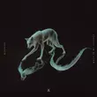 Скачать песню Wennink - Wolf In My Clothes (Rinzen Remix)