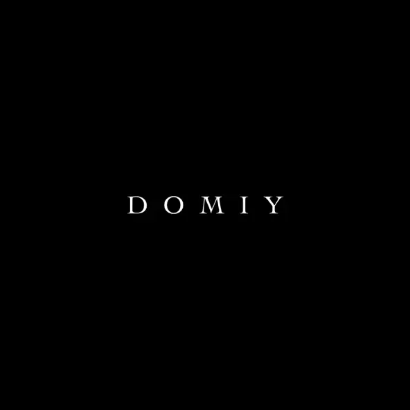 Скачать песню Domiy - Так І Не Знайшла