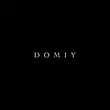 Скачать песню Domiy - Так І Не Знайшла