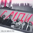 Скачать песню Kalush Orchestra - Сліди