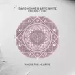 Скачать песню David Hohme - Friendly Fire (feat. Artic White)