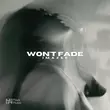 Скачать песню Imazee - Won't Fade (Original Mix)