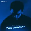 Скачать песню Вусал Мирзаев - Твоя Красота