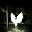Скачать песню Rakhim - Аалия