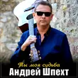 Скачать песню Андрей Шпехт - Ты Моя Судьба