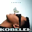 Скачать песню Turar - Kobelek