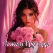 Скачать песню Колін - Рожеві Троянди
