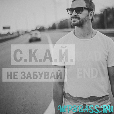 Скачать песню С.К.А.Й. - Не Забувай (Dima Positive & DJ Kot Remix)