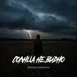 Скачать песню Palych - Солнца Не Видно (feat. Alekseevna)
