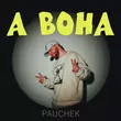 Скачать песню Pauchek - А Вона
