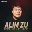 Скачать песню Alim Zu - Больше Не Надо