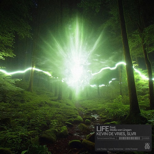 Скачать песню Kevin De Vries & Slvr feat. Stella Von Lingen - Life (Original Mix)