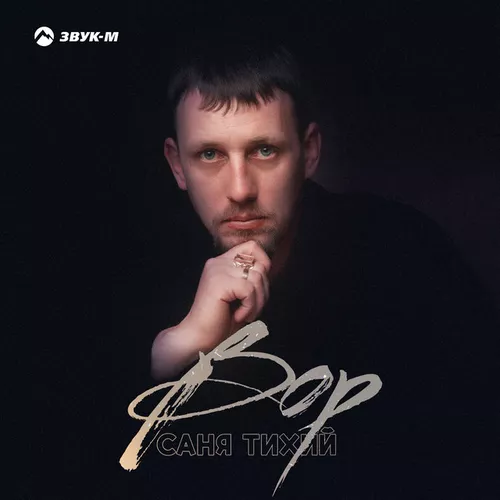 Скачать песню Саня Тихий - Вор