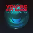 Скачать песню P.O.U & Delta Vaults feat. Rory Hope - You're Not Alone (Extended Mix)