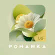 Скачать песню Mif - Ромашка