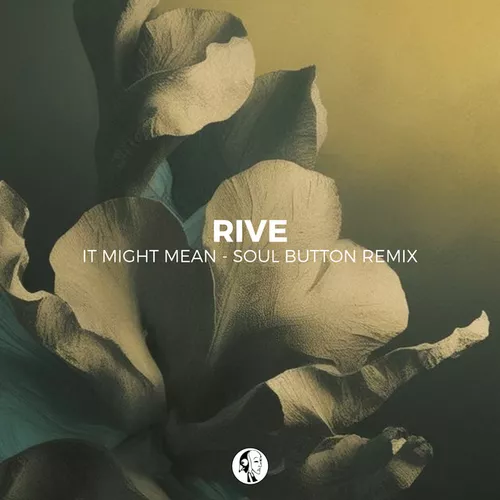 Скачать песню Rive - It Might Mean (Soul Button Remix)