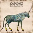 Скачать песню Kapchiz - Danrakadin (Original Mix)