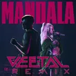Скачать песню Rasa & Dashi - Mandala (Vee-Tal Remix)