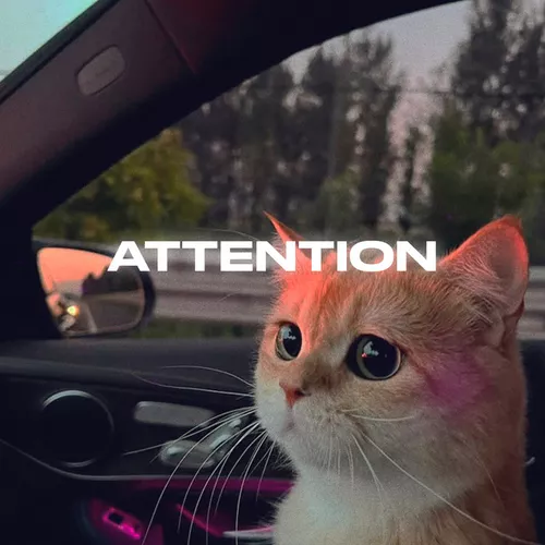 Скачать песню Rendow - Attention (feat. Isvnbitov)