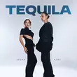 Скачать песню Cali - Tequila (feat. Luina)