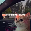 Скачать песню Rendow - Attention (feat. Isvnbitov)