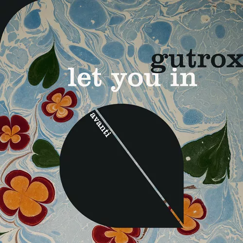 Скачать песню Gutrox - Let You In (Extended Mix)