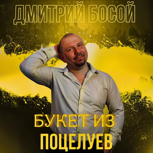 Скачать песню Дмитрий Босой - Букет Из Поцелуев