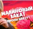 Скачать песню Sevenrose - Малиновый Закат