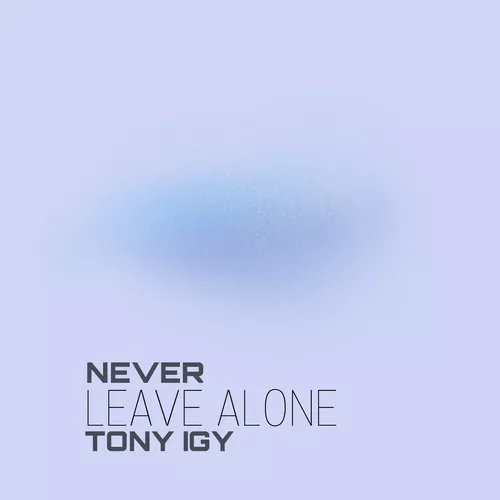 Скачать песню Tony Igy - Never Leave Alone