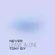 Скачать песню Tony Igy - Never Leave Alone