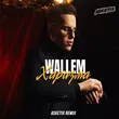 Скачать песню Wallem - Харизма (Asketix Remix)
