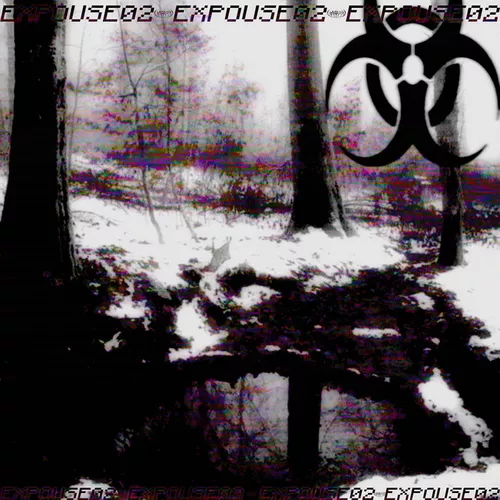 Скачать песню Hardx - Expouse02 (feat. Dmitry.rx)