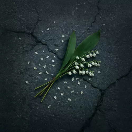 Скачать песню Nansi - Привет (feat. Sidorov)