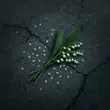 Скачать песню Nansi - Привет (feat. Sidorov)