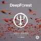 Скачать песню Deep Forest - Sing With The Birds (Onuka Remix)