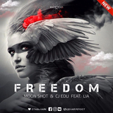 Скачать песню Moon Shot & CJ EDU feat. LIA - Freedom (Original Mix)