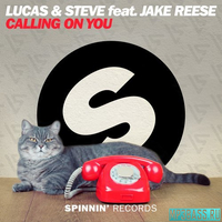 Скачать песню Lucas & Steve feat. Jake Reese - Calling On You (Extended Mix)