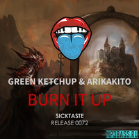 Скачать песню Green Ketchup & Arikakito - Burn It Up (Original Mix)
