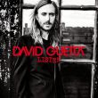 Скачать песню David Guetta & Emeli Sande - What I Did For Love (Extended Mix)