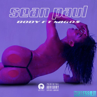 Скачать песню Sean Paul - Body (feat. Migos)