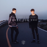 Скачать песню Martin Garrix - There For You (feat. Troye Sivan)