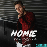 Скачать песню Homie - 12 Недель