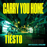 Скачать песню Tiesto - Carry You Home (feat. StarGate & Aloe Blacc)