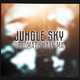 Скачать песню Jungle Sky - Поломали Хату Ма