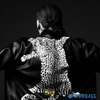 Скачать песню Steve Angello - Freedom (feat. Pusha T.)