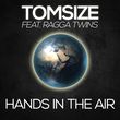 Скачать песню Tomsize - Hands In The Air (feat. Ragga Twins)
