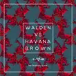 Скачать песню Walden ft. Havana Brown - No Ordinary Love (Original Mix)
