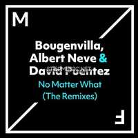 Скачать песню David Puentez & Albert Neve feat. Bougenvilla - No Matter What (VIP Extended Mix)